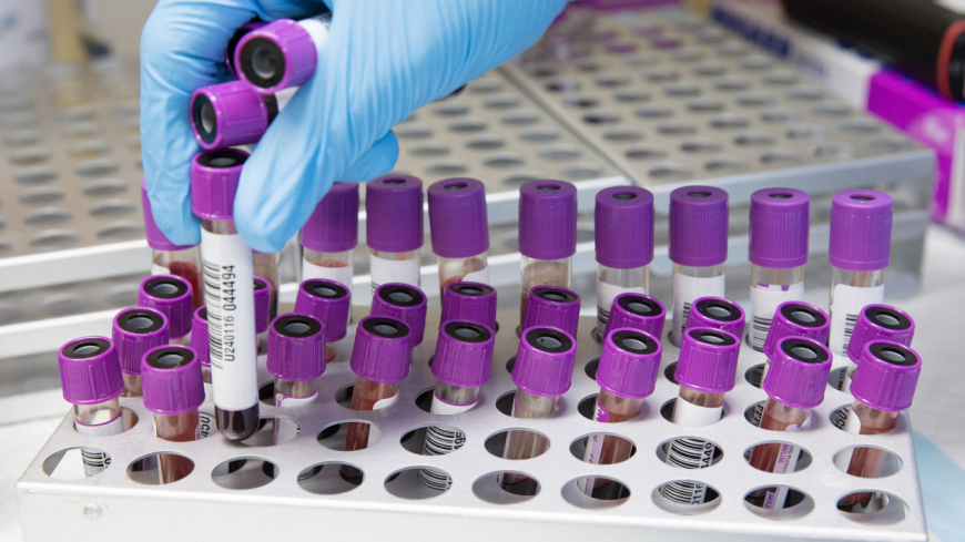 В России выявлено 19 032 новых случая коронавируса