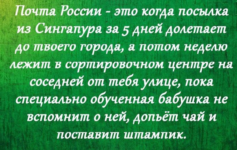 Если жена разбила чашку, то это к счастью… зашили, женщина, известный, порвали, гулять, подпускаю, пунктуальных, взвешивалась, заметили, каждый, начальник, любит, утром, подчинённых, почемуто, ненавидит, вечеромТитул, блогер, примерно, суслик