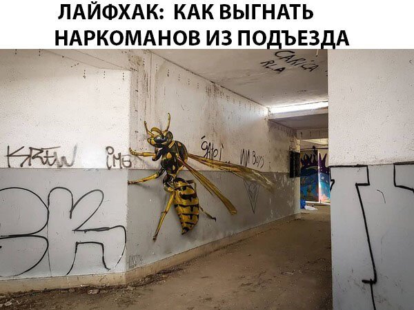 Смешные картинки от Урал за 24 августа 2019 картинки, смешные, юмор