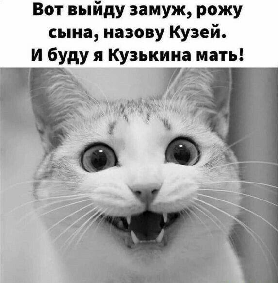 Немножко смешных зверушек... Надёргано , отовсюду