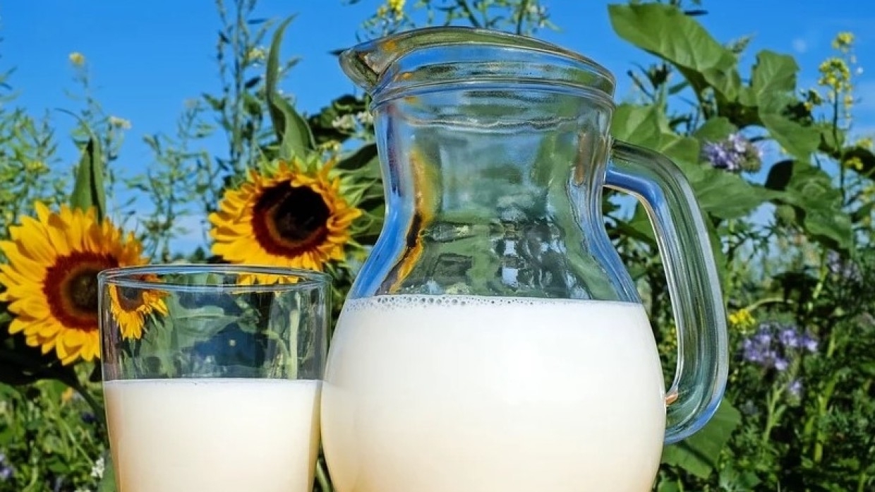 Отказ от молочных продуктов может привести к негативным последствиям для организма