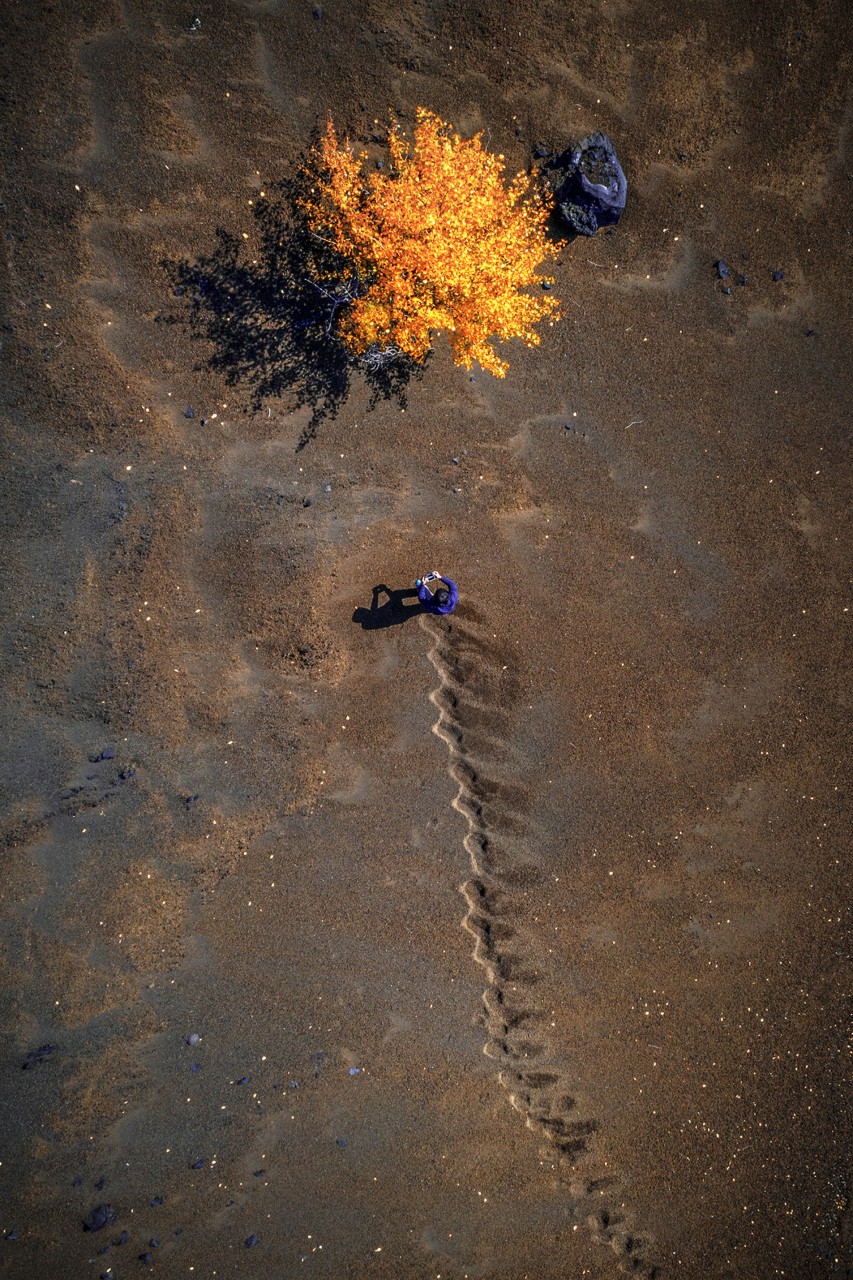 "Невозможные" фото, сделанные с помощью дронов: победители конкурса SkyPixel "Невозможные" фото, сделанные с помощью дронов: победители конкурса SkyPixel рассказы