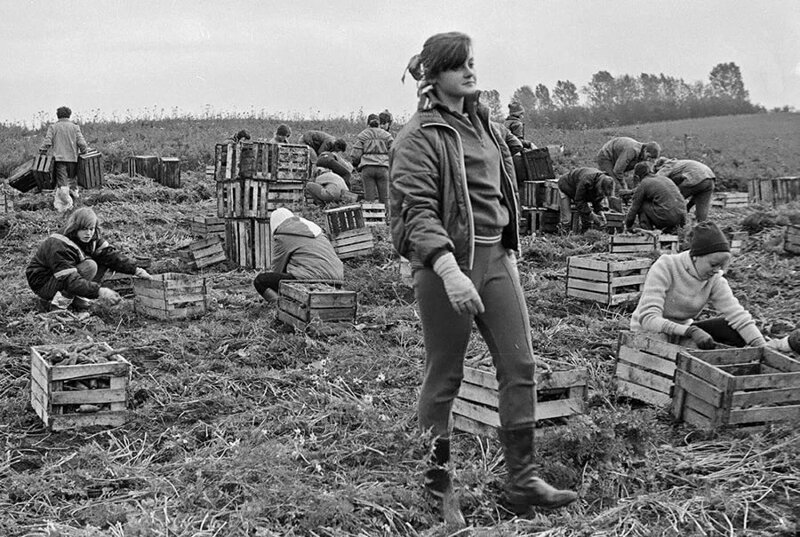 «Какую страну развалили» история,общество,россияне,СССР