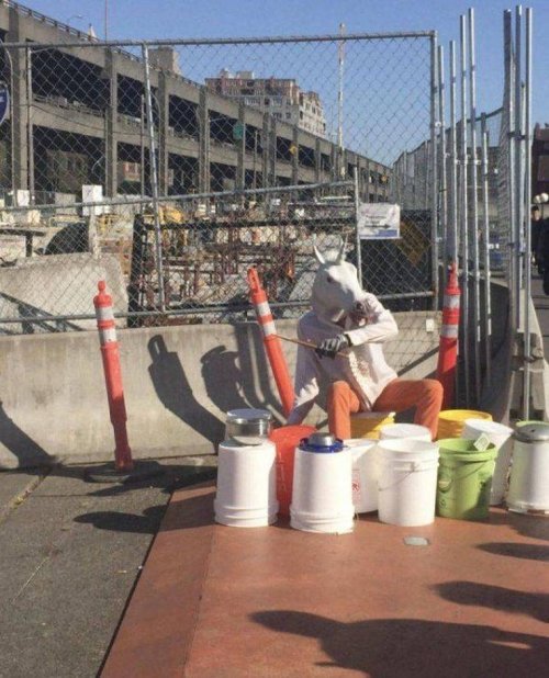 Что здесь происходит?! Что здесь происходит?! смешные картинки