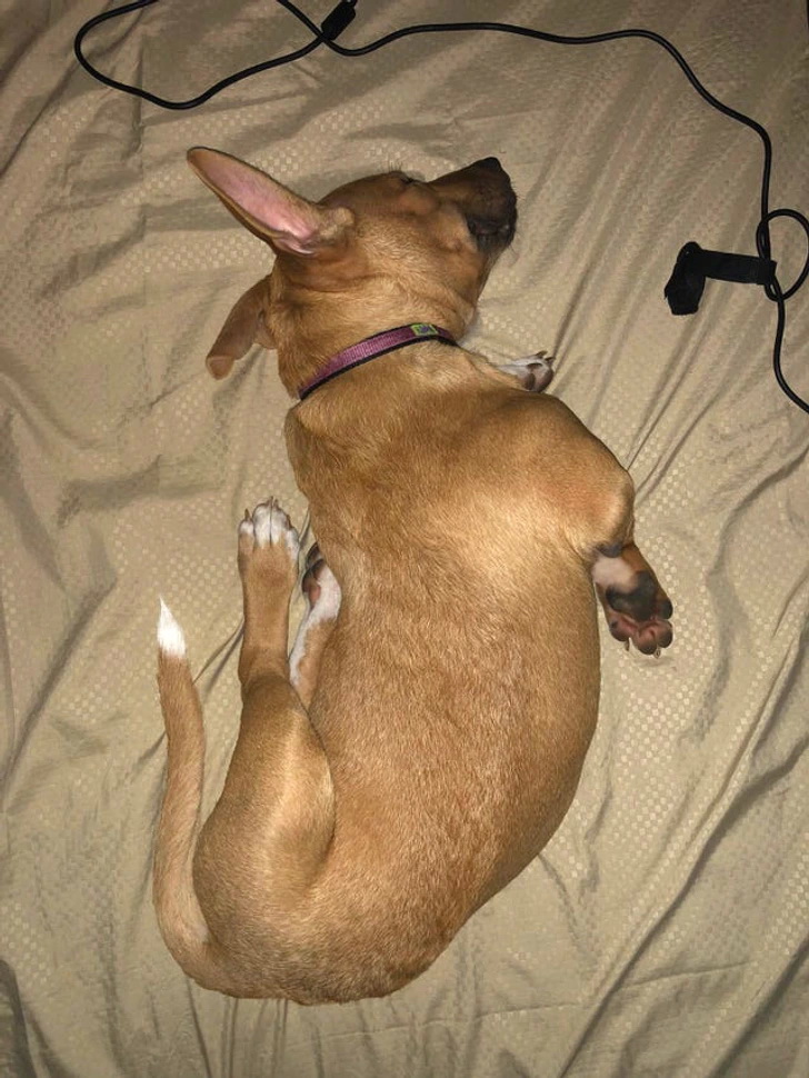 Немного позитива, на ночь глядя. Тема: СОН Немного позитива, на ночь глядя. Тема: СОН