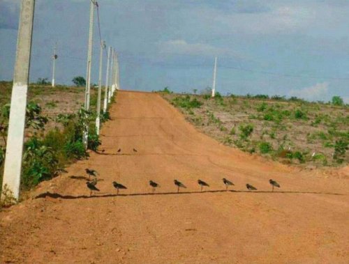 20 жарких летних фотографий, чтобы согреться в этот холодный зимний вечер 