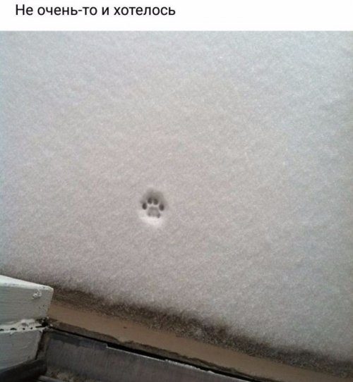 Фотоприколы дня!