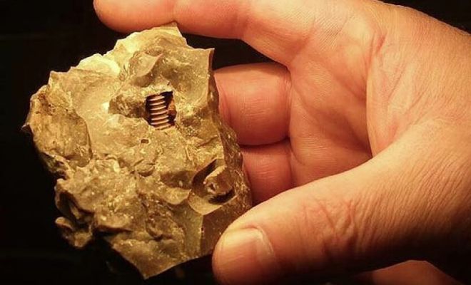 Находки в вечной мерзлоте Сибири: пружины возрастом 5 000 лет внутри камней и дерево со следами неизвестной обработки