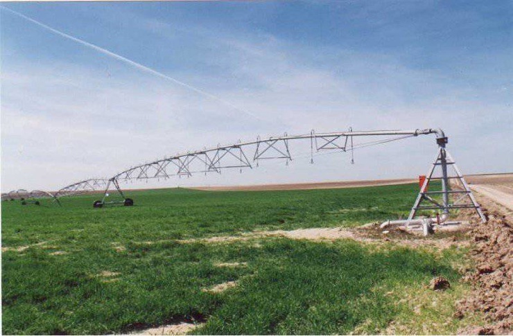 Горькие плоды сладких мечтаний. Горькие плоды сладких мечтаний. геополитика