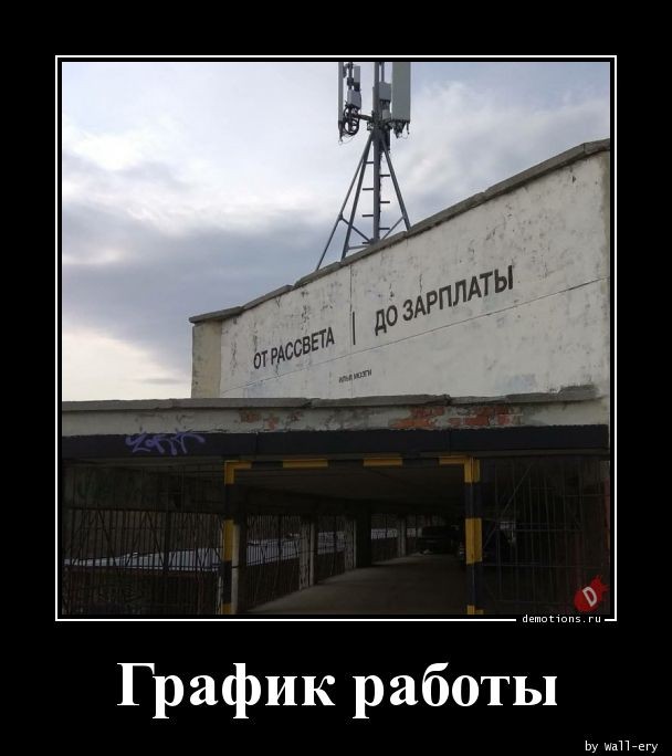 Традиционная коллекция фотоприколов для любителей демотивирующих картинок! 