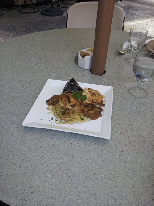 Пернатые бандиты Пернатые бандиты веселые картинки,животные,Истории из жизни,позитив,приколы,Смешные животные