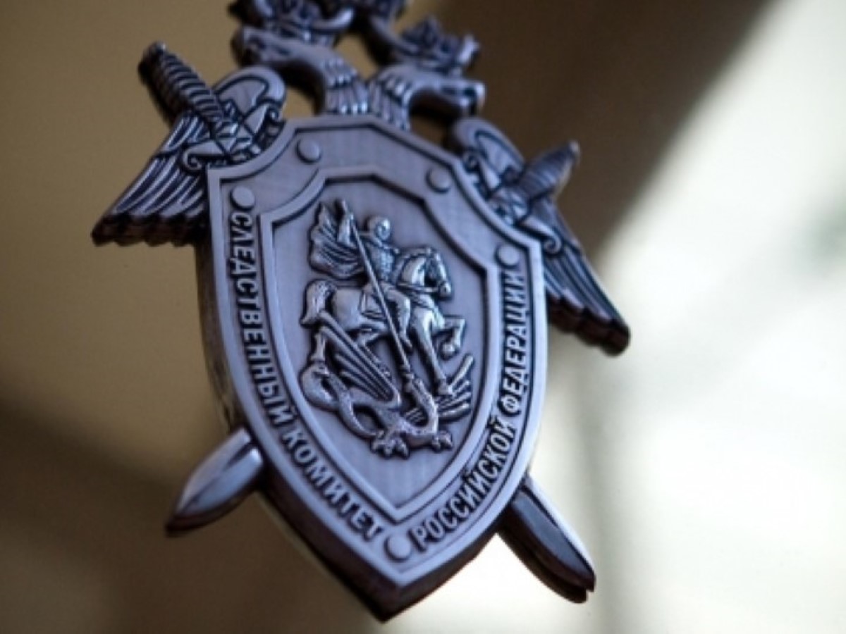 Глава СКР Бастрыкин запросил доклад о расследовании нападения на семью в Сызрани