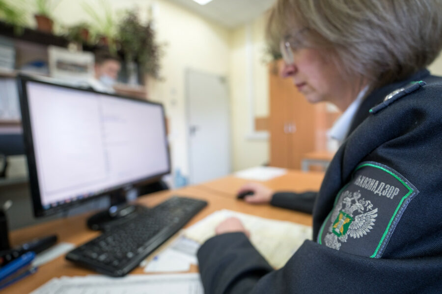 Россельхознадзор заблокировал более 230 сайтов незаконно реализующих ветеринарные препараты