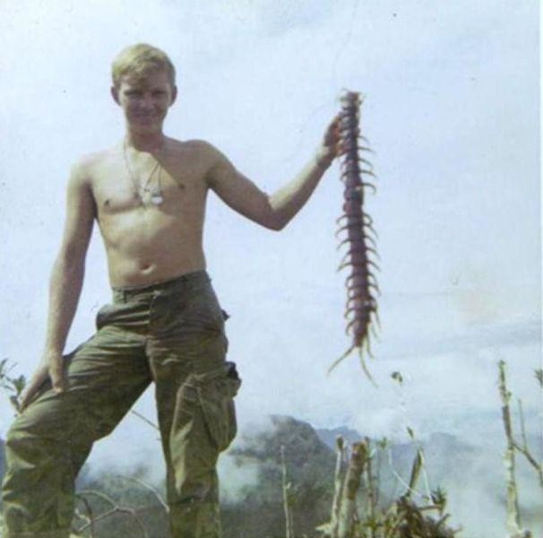 Еноты и не только.. Фото-приколы! Смешные прикольные картинки, фото приколы