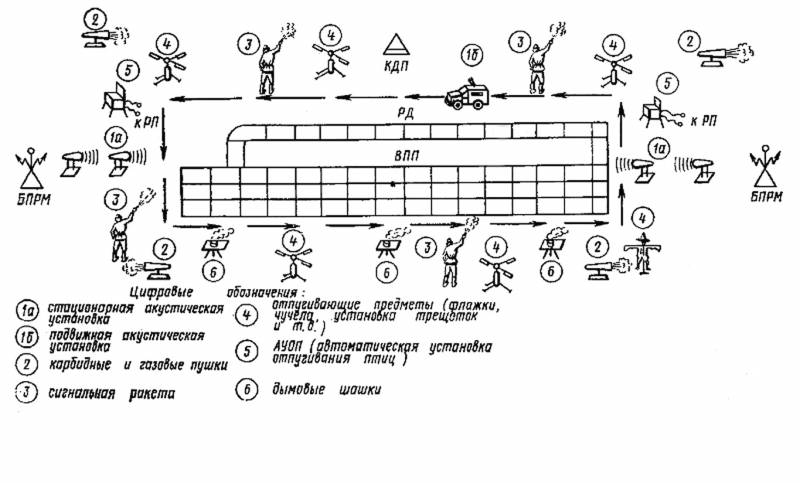 "Внимание, птицы в воздухе!" Авиация против пернатых