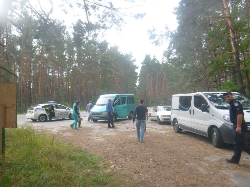 В Киеве провели масштабную операцию по спасению лося днепр, добро. люди, животные, киев, лось, спасение