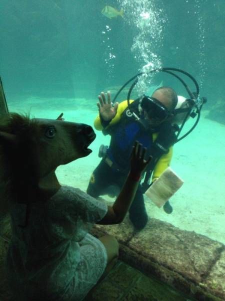 Подборка картинок. Дневной выпуск (53 фото)