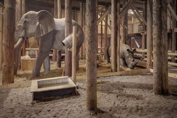 В Нидерландах мужчина построил Ноев ковчег за $ 1,6 млн жизнь,интересное,ковчег,необычное