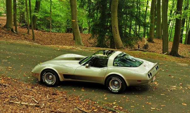 1982 Chevrolet Corvette Collector EditionСтоимость: 15 000 $ ...