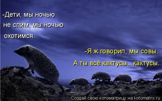 Котоматрица: -Дети, мы ночью не спим, мы ночью охотимся. -Я ж говорил, мы совы. А ты всё кактусы...кактусы.