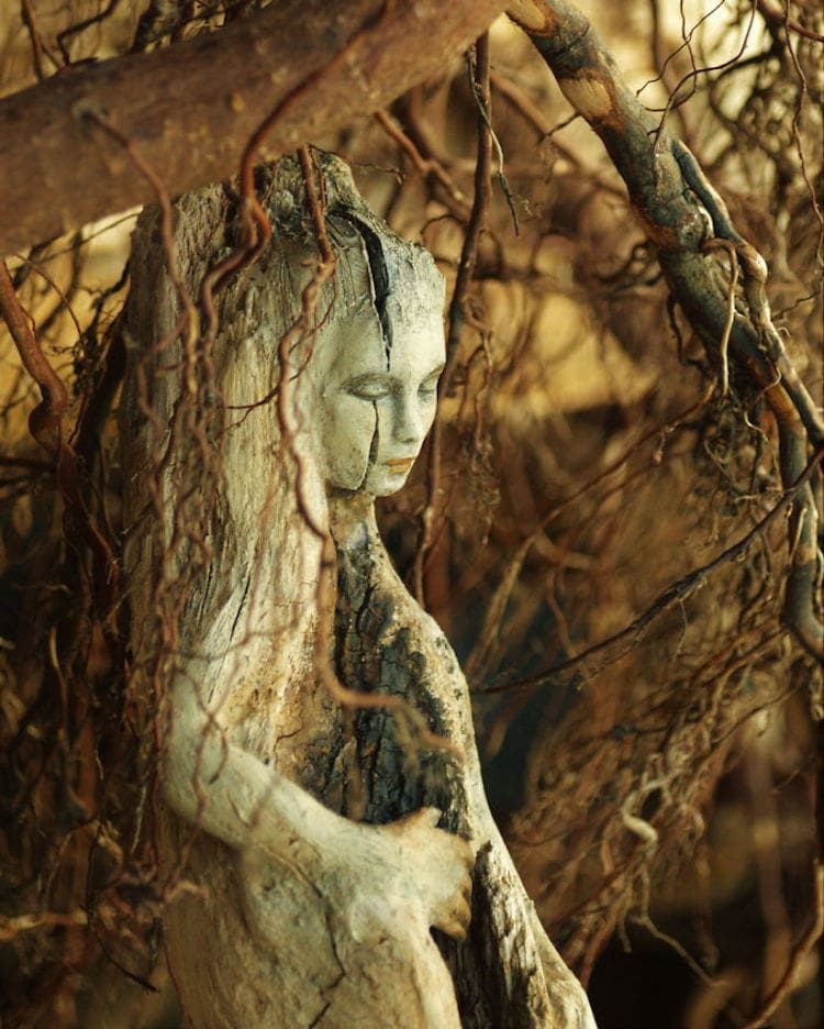 Фантастические скульптуры из старых коряг - вдохновляемся! дерево,домашний очаг,,коряги,рукоделие,своими руками,умелые руки