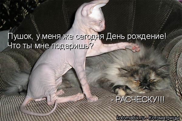Мысли вслух :)