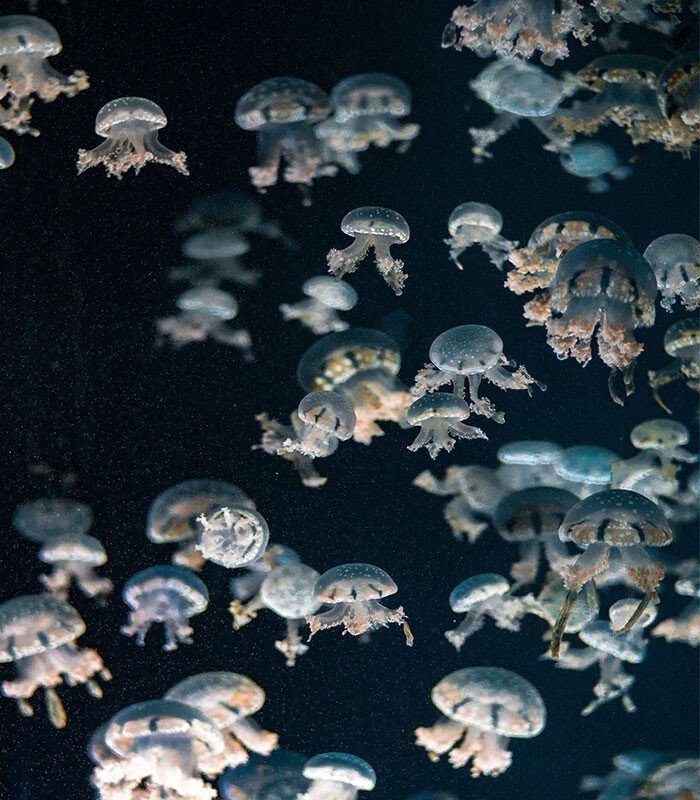 Факты о мире, которые помогут взглянуть на некоторые вещи по-новому