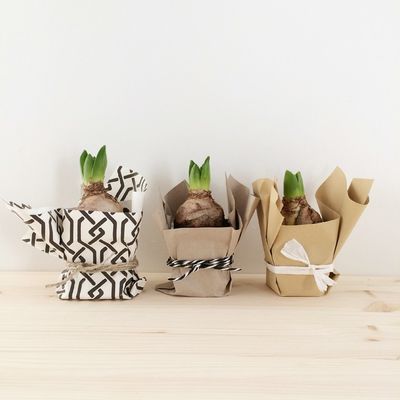 by PollyPapier