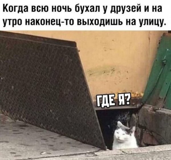 Алкопост