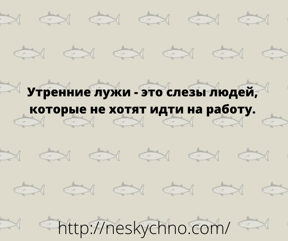 Немного анекдотов для поддержания настроения Немного анекдотов для поддержания настроения