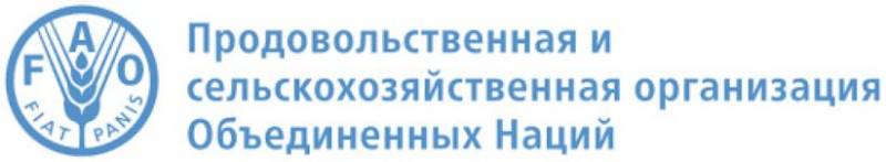 «Зерно истины» по-русски – ни зерна, ни истины геополитика,россия