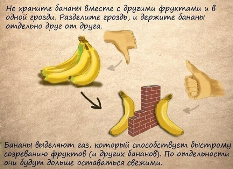 Рисунок хитрость против хитрости