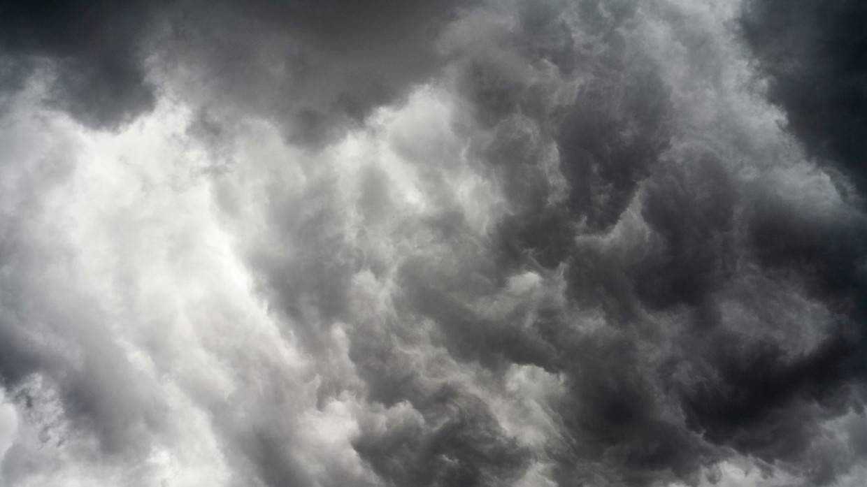 Дождливая и безветренная погода ожидается в Петербурге 3 ноября