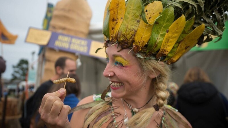 Гастрономический туризм: самые необычные кулинарные фестивали мира еда,планета,фестивали