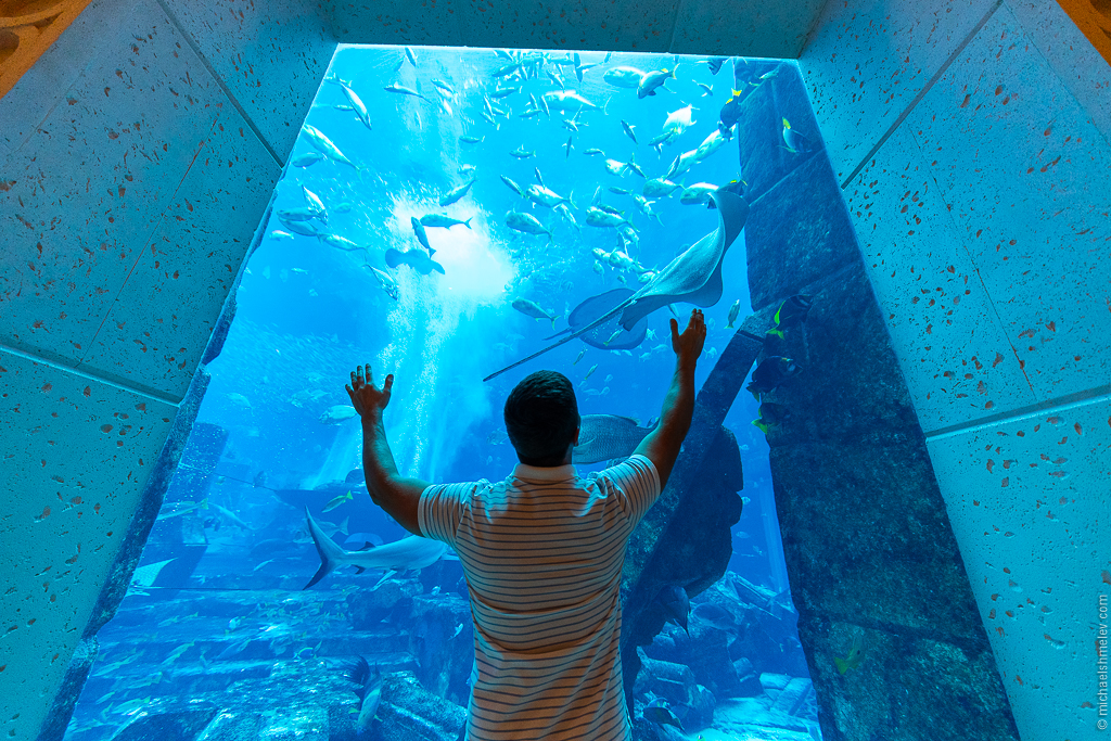 Дубай: успеть за 10 дней авиатур