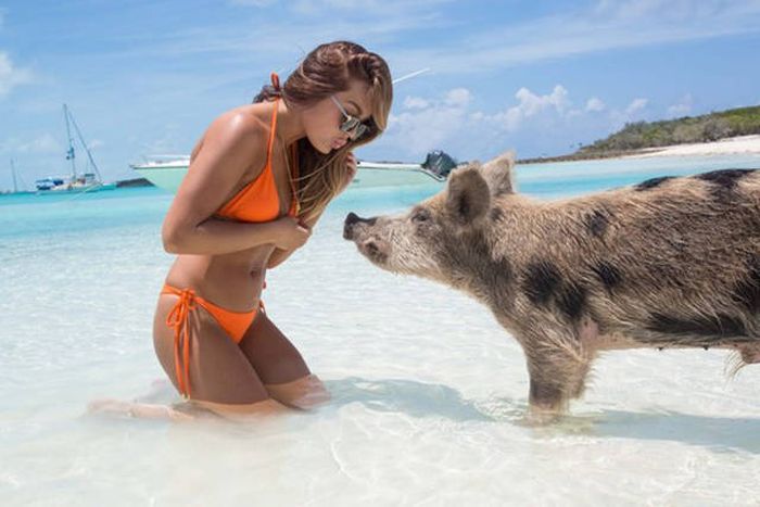 Подборка картинок. Вечерний выпуск (53 фото)