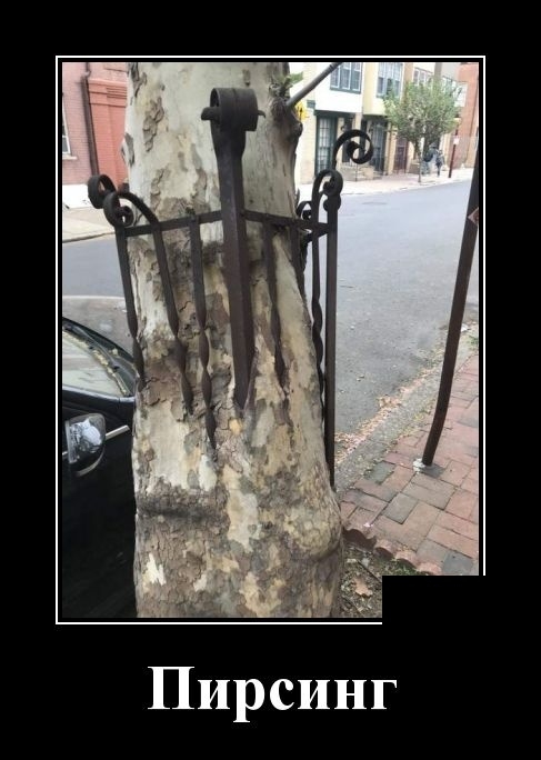 Демотиваторы 11 февраля 