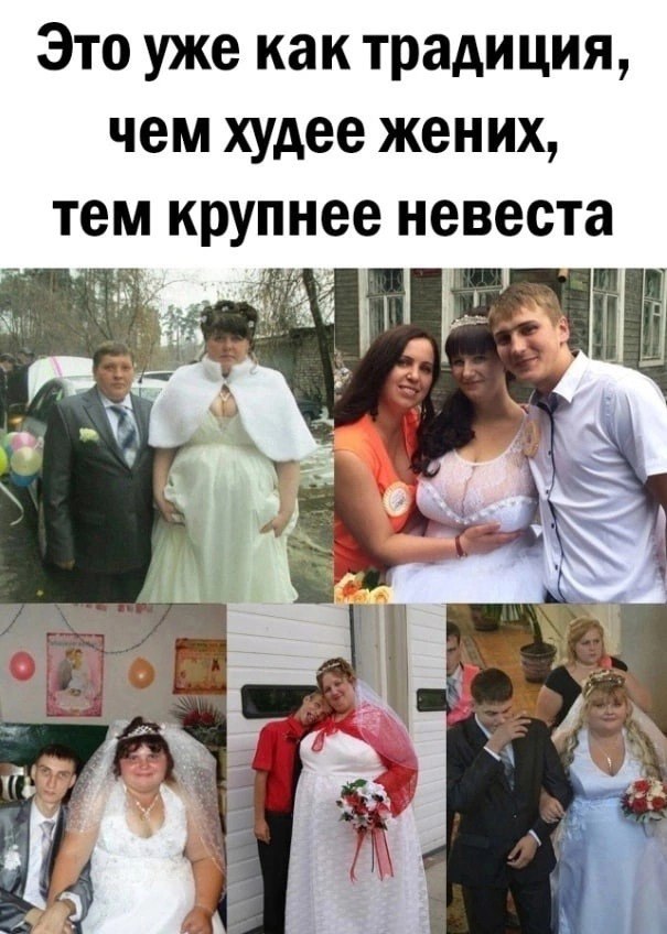 Смешные и клевые картинки Смешные и клевые картинки