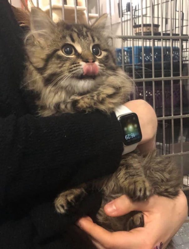 Мимишные фото от которых на душе станет теплее