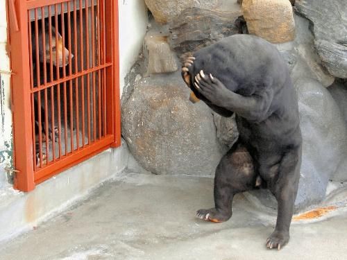 Забавности :) (49 штук)