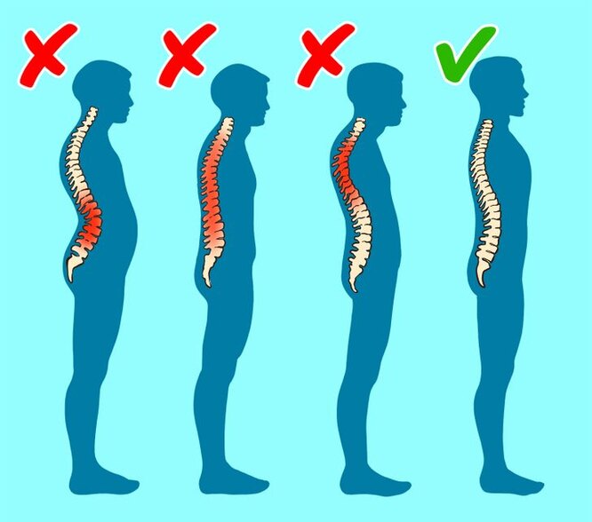 Как постоянно поддерживать правильную осанку: простые лайфхаки здоровье,наука,человек