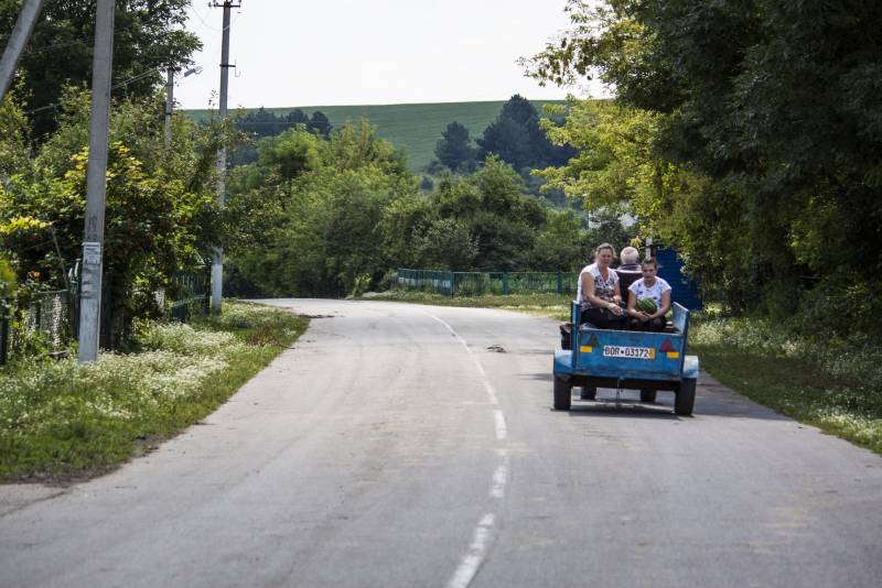 Записки Колорадского Таракана №200. Немного воняет, но перспективы есть Записки Колорадского Таракана №200. Немного воняет, но перспективы есть украина