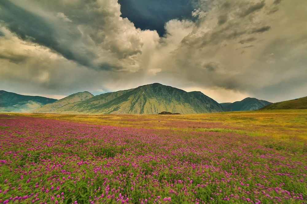 Горный Алтай (фото)