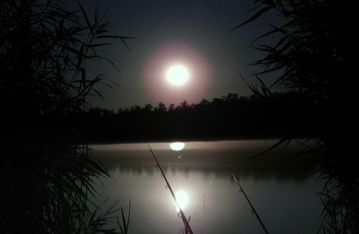 Ловить рыбу ночью. Ночная рыбалка. Ночная рыбалка на реках. Рыбалка ночная на речке. Ночная рыбалка летом.