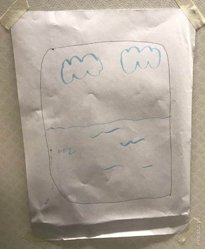 Находчивый стюард выполнил странную просьбу пассажира 