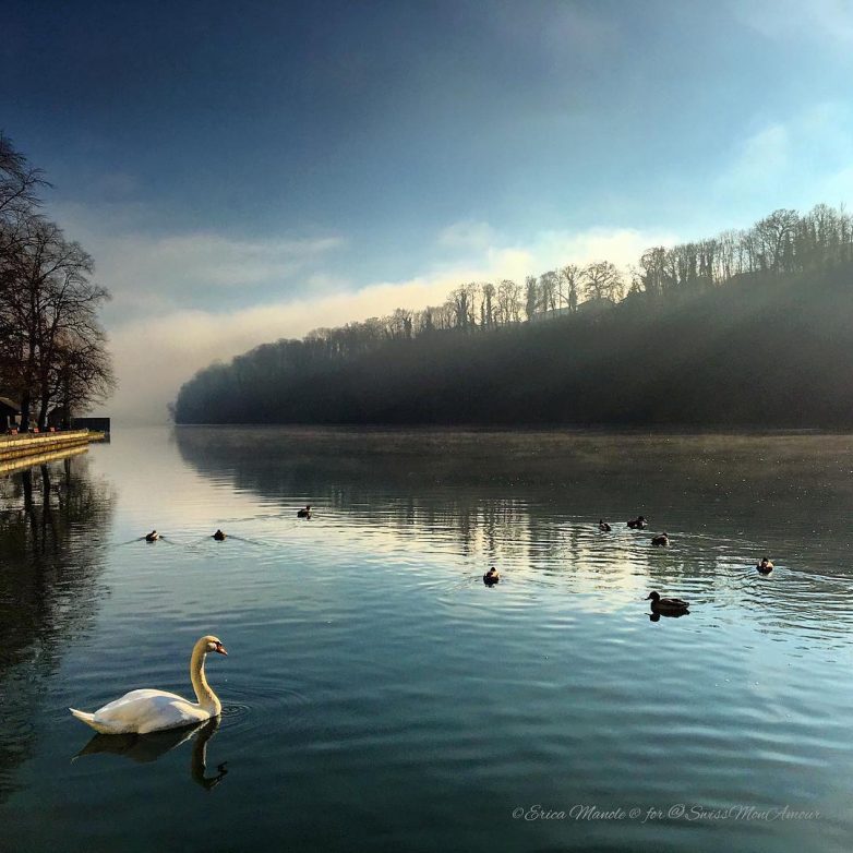 Наша прекрасная планета Наша прекрасная планета