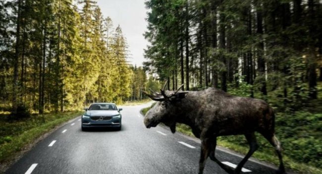 Лучше б нам отдали… 5 самых безбашенных краш-тестов для авто Лучше б нам отдали… 5 самых безбашенных краш-тестов для авто Автомобили