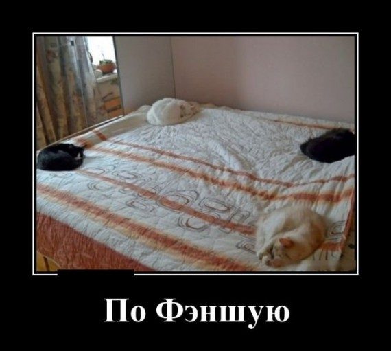 Прикольные демотиваторы дня!