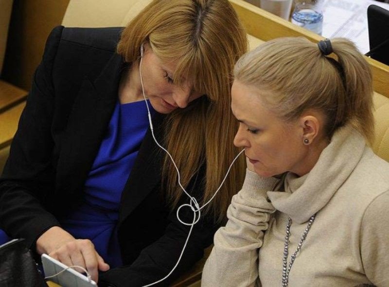 Несомненно, они обсуждают будущее страны госдума, депутаты, жириновский