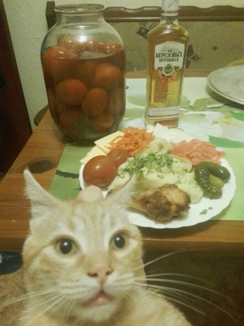 Фотоприколы дня!
